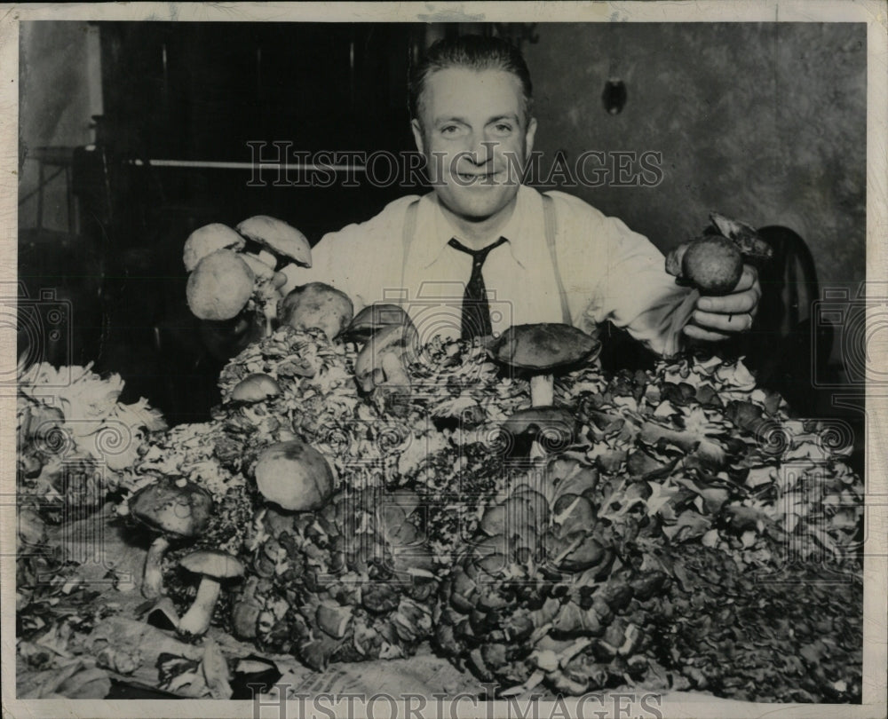 1951 Press Photo Mushroom Soil Food Source Man Pound To - RRW89371 - Historic Images