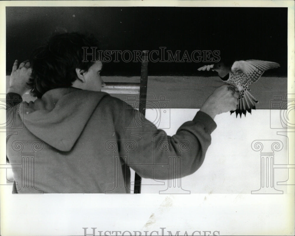 1988 Press Photo Man Rescuing Flicker Bird Anticruelty - RRW89921 - Historic Images