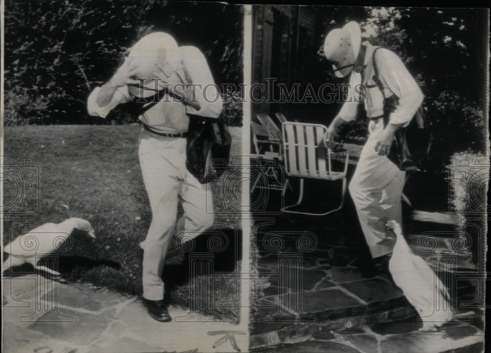 1946 Press Photo Duck Chasing Postman Dallas Texas - RRW90269 - Historic Images