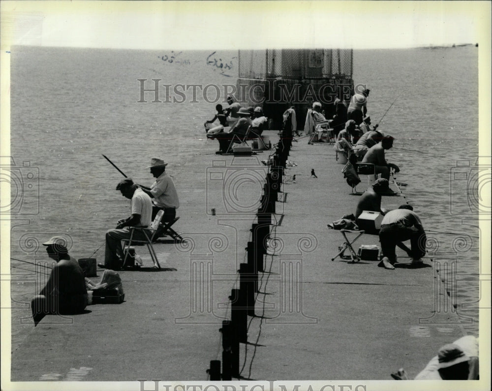 1984 Press Photo Montrose Harbor fish biting activity - RRW90283 - Historic Images