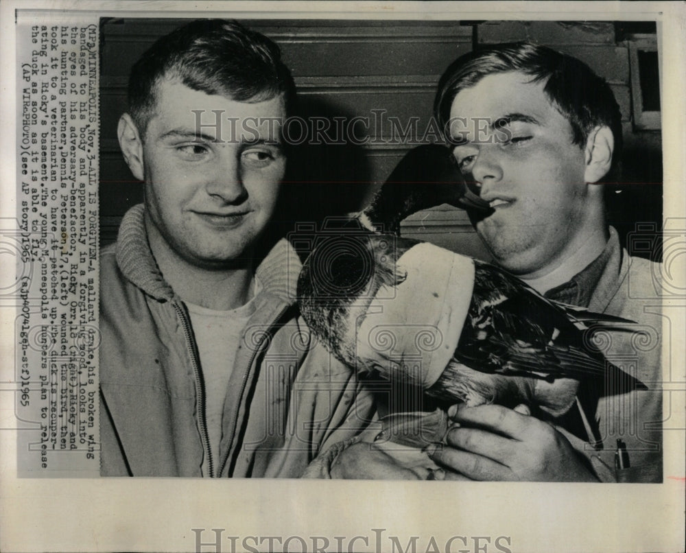 1965 Press Photo Mallard Broken Wing Boys Shot - RRW90335 - Historic Images
