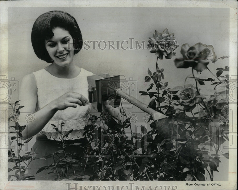 1966 Press Photo Woman Spraying Flowers Gardening - RRW90399 - Historic Images