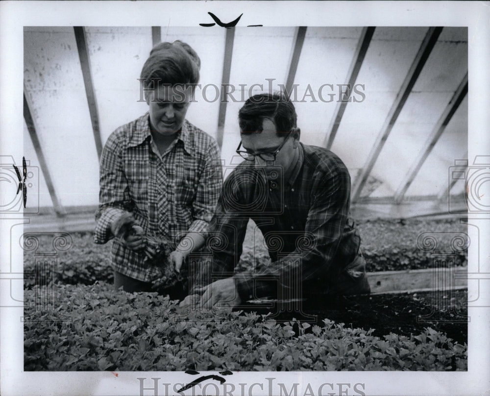 1973 Press Photo Evelyn and Russ Cooper Tend To Plants - RRW90469 - Historic Images