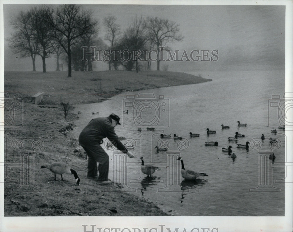 1992 Press Photo Canada Geese Axehead Lake - RRW90573 - Historic Images