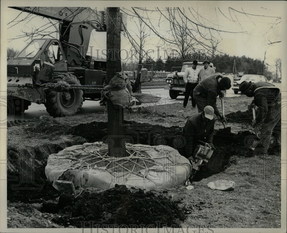 1963 Press Photo Philadelphia road projects saves trees - RRW91241 - Historic Images