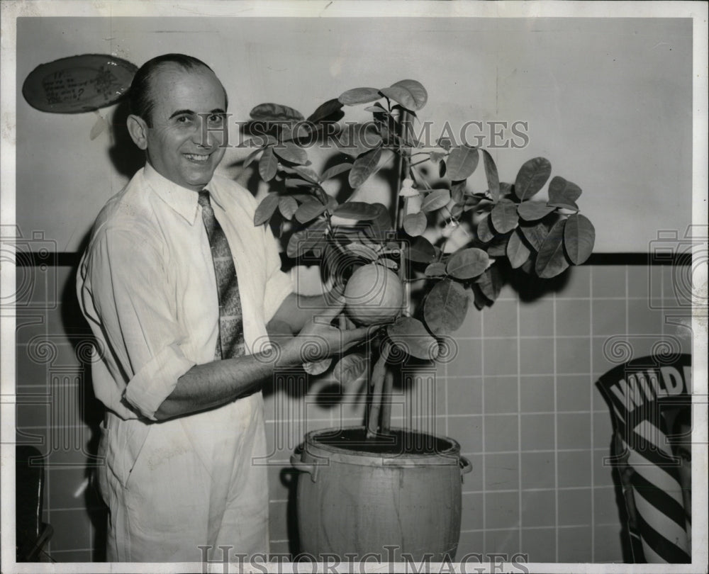 1958 Press Photo Michael Ferri Large Lemon West Ohio - RRW91249 - Historic Images