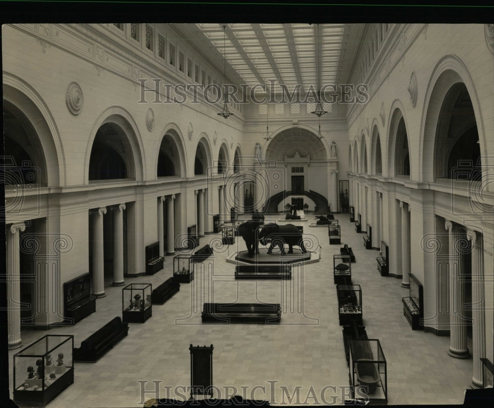 Press Photo Field Museum Stanley Field Hall Empty - RRW91913 - Historic Images