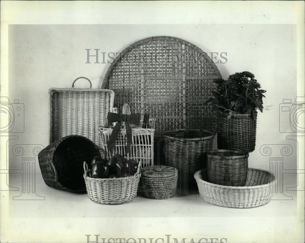 1981 Press Photo Basket collection used plants fruits - RRW92309 - Historic Images