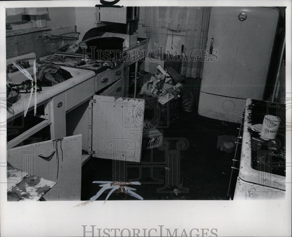 1973 Press Photo Kitchen Tomlin home sink crusted feast - RRW92503 - Historic Images