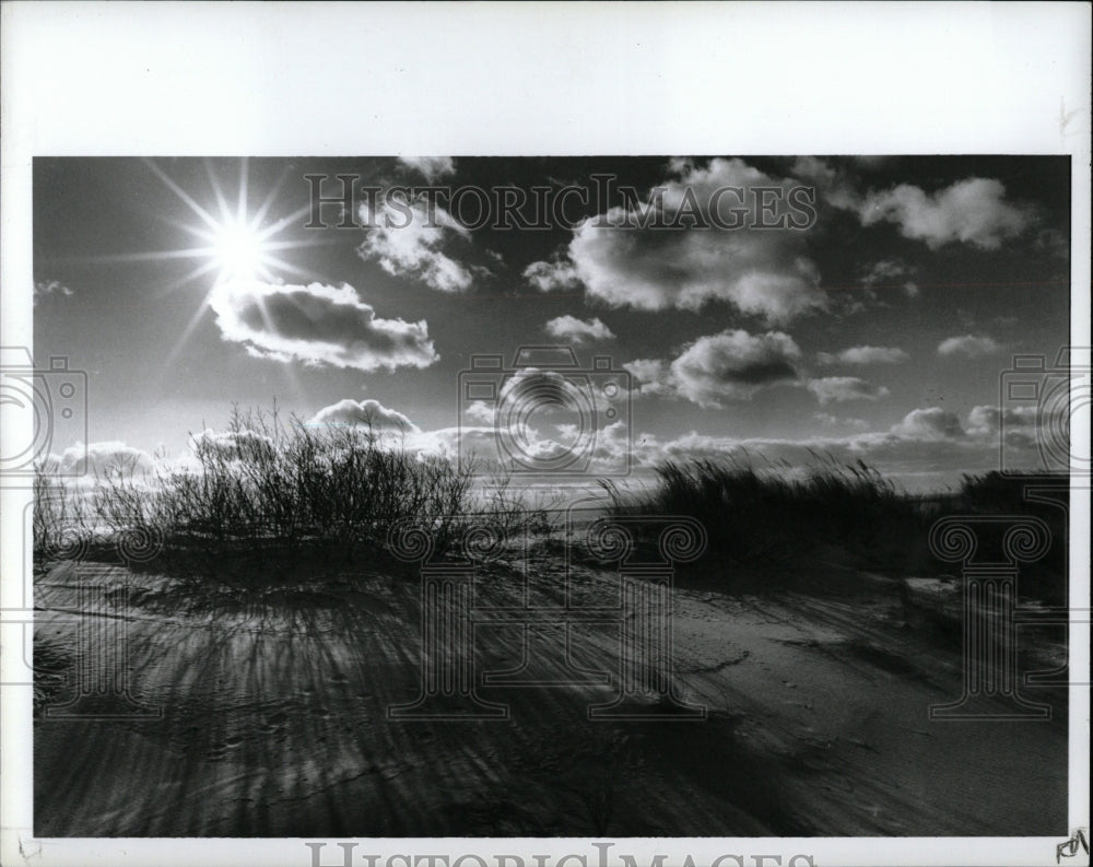 1990 Press Photo Tawas State Park - RRW92579 - Historic Images