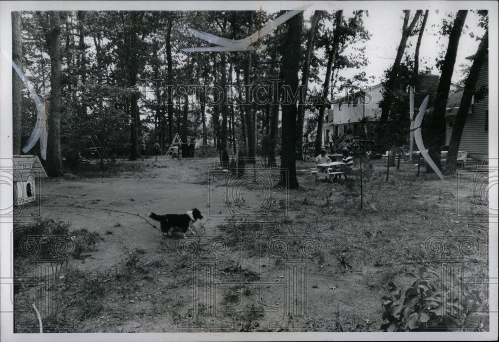 1971 Press Photo Keatington Michigan - RRW92987 - Historic Images