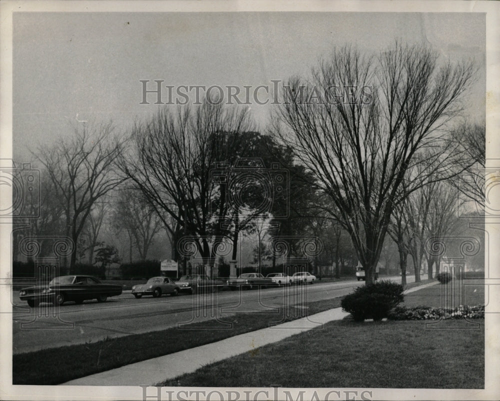 1968 Press Photo Irving park Schiller Dutch Line Trees - RRW93213 - Historic Images