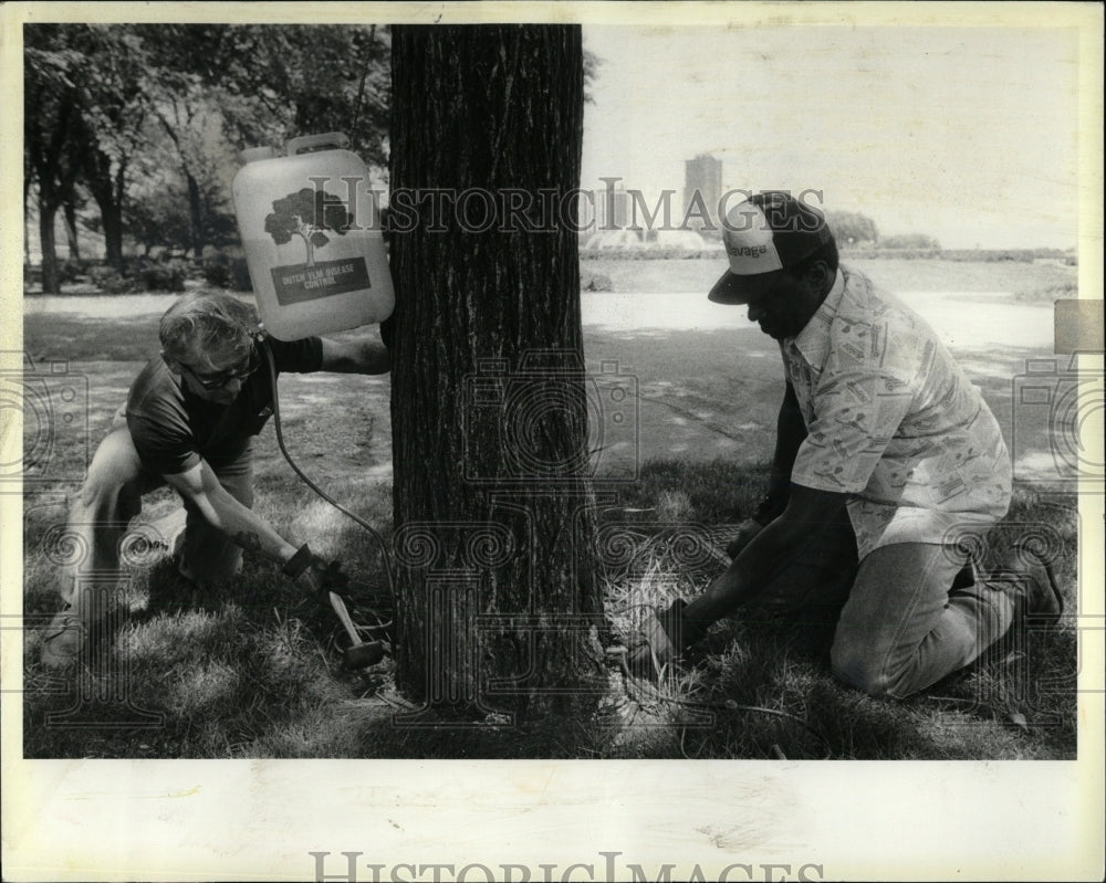 1981 Press Photo Grant Park Workers Dutch Elm Disease - RRW93221 - Historic Images