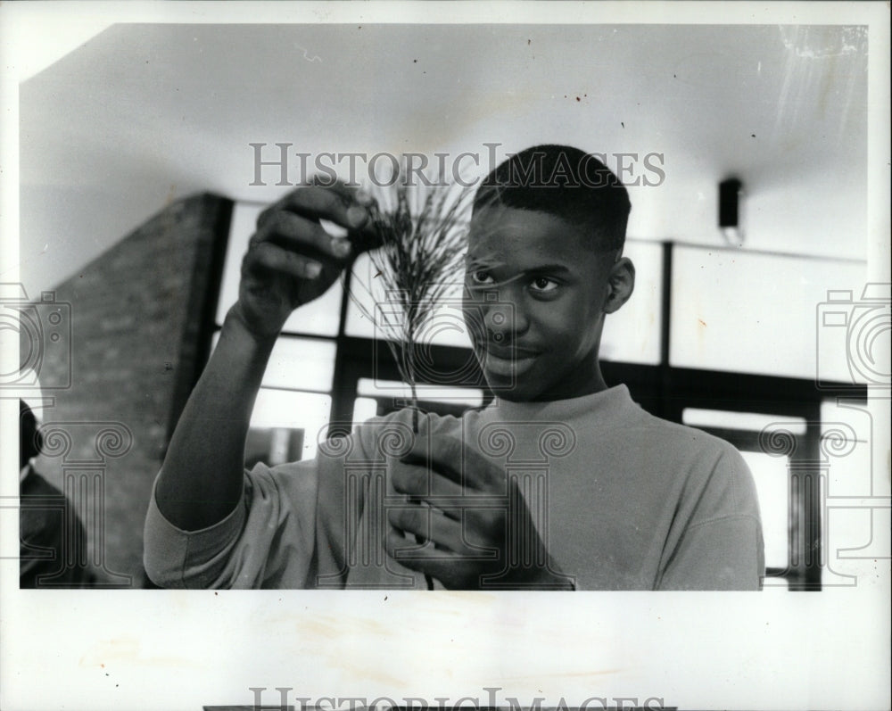 1992 Press Photo Chicago High School Student Pine Seeds - RRW93239 - Historic Images