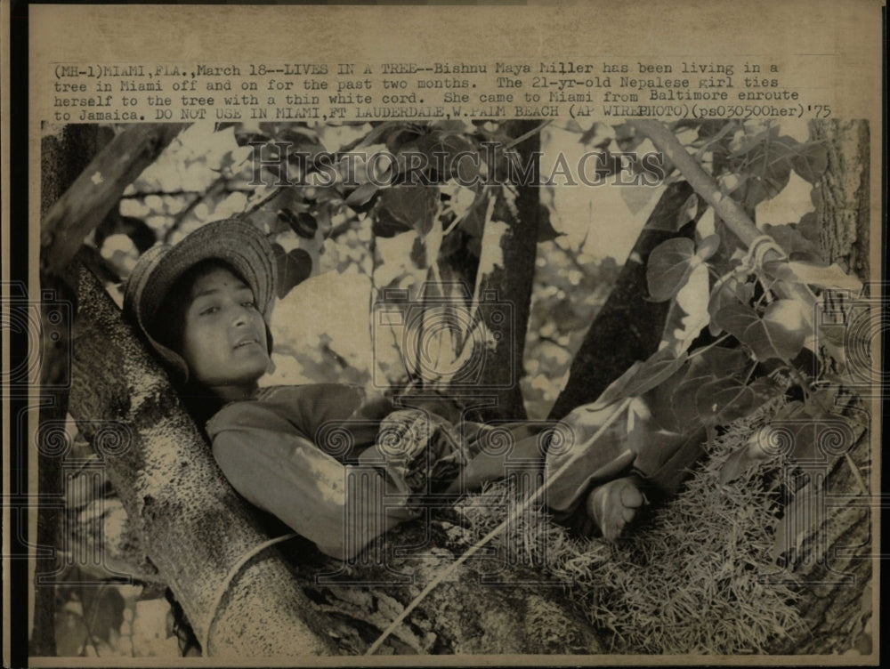 1975 Press Photo Bishu Maya Miller living on a tree - RRW93243 - Historic Images