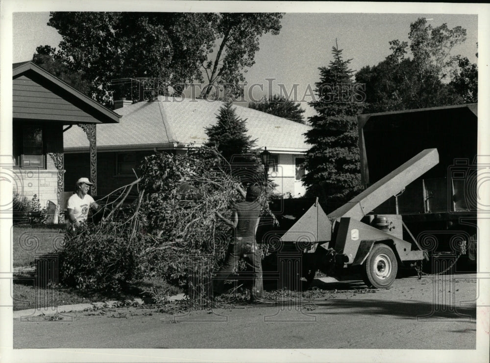 1980 Press Photo Workmen pick up brush knocked down - RRW93255 - Historic Images