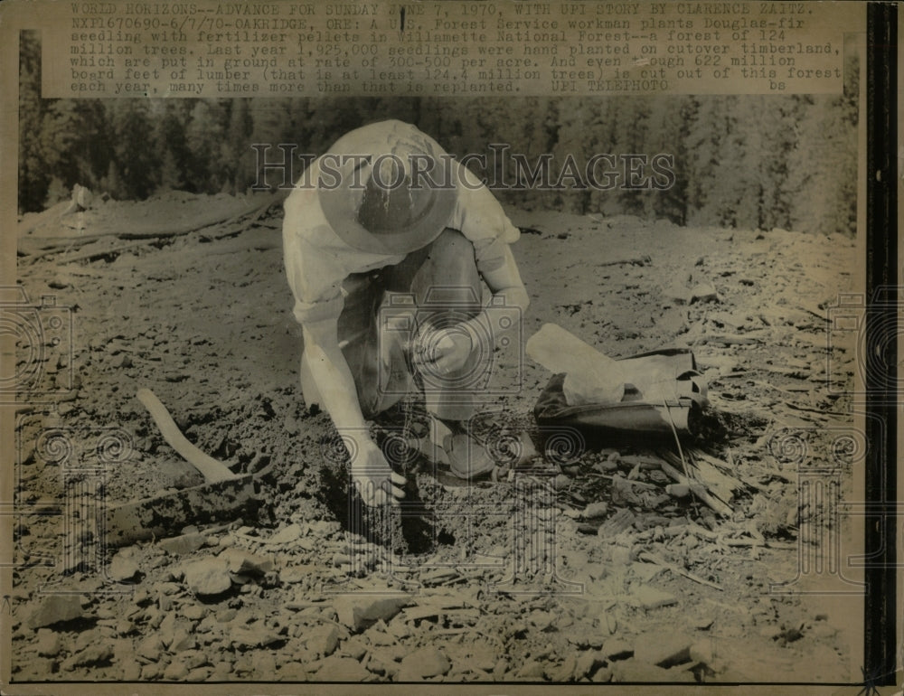 1970 Press Photo Trees Planting Reforestation Oregon - RRW93257 - Historic Images