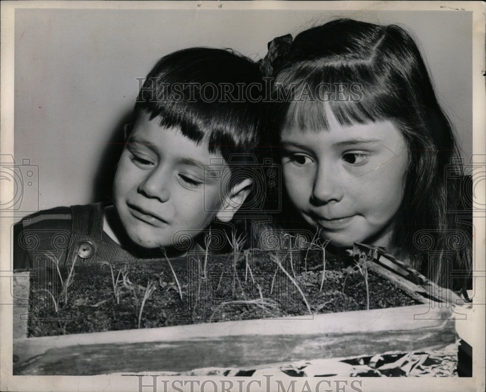 1963 Press Photo kitchen garden - RRW93871 - Historic Images