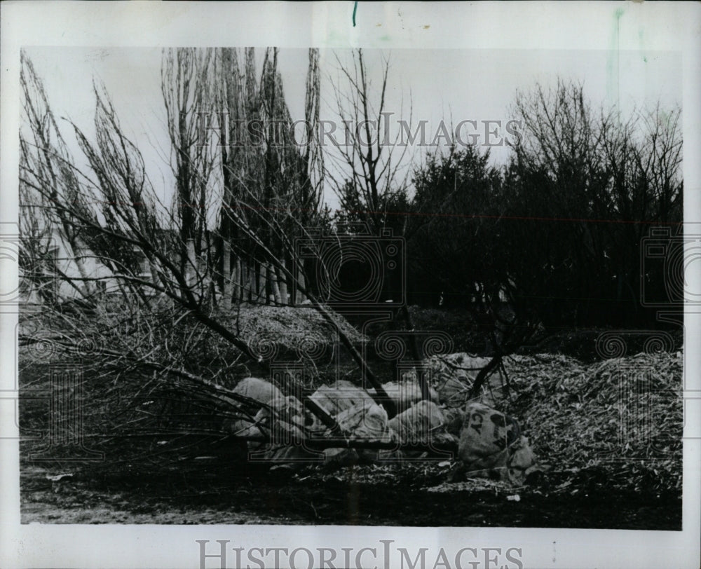 1974 Press Photo West Wood Spring Apartment Bridge site - RRW93875 - Historic Images