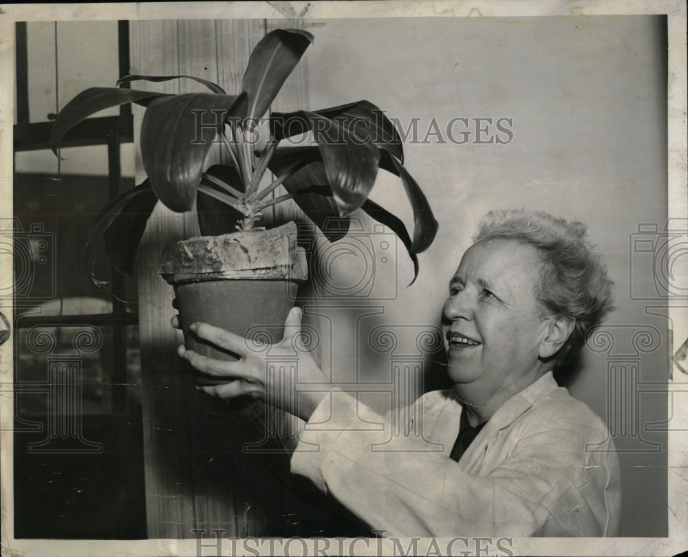 1956 Press Photo Michael Reese Mandel Clinic Ellis Palm - RRW93915 - Historic Images