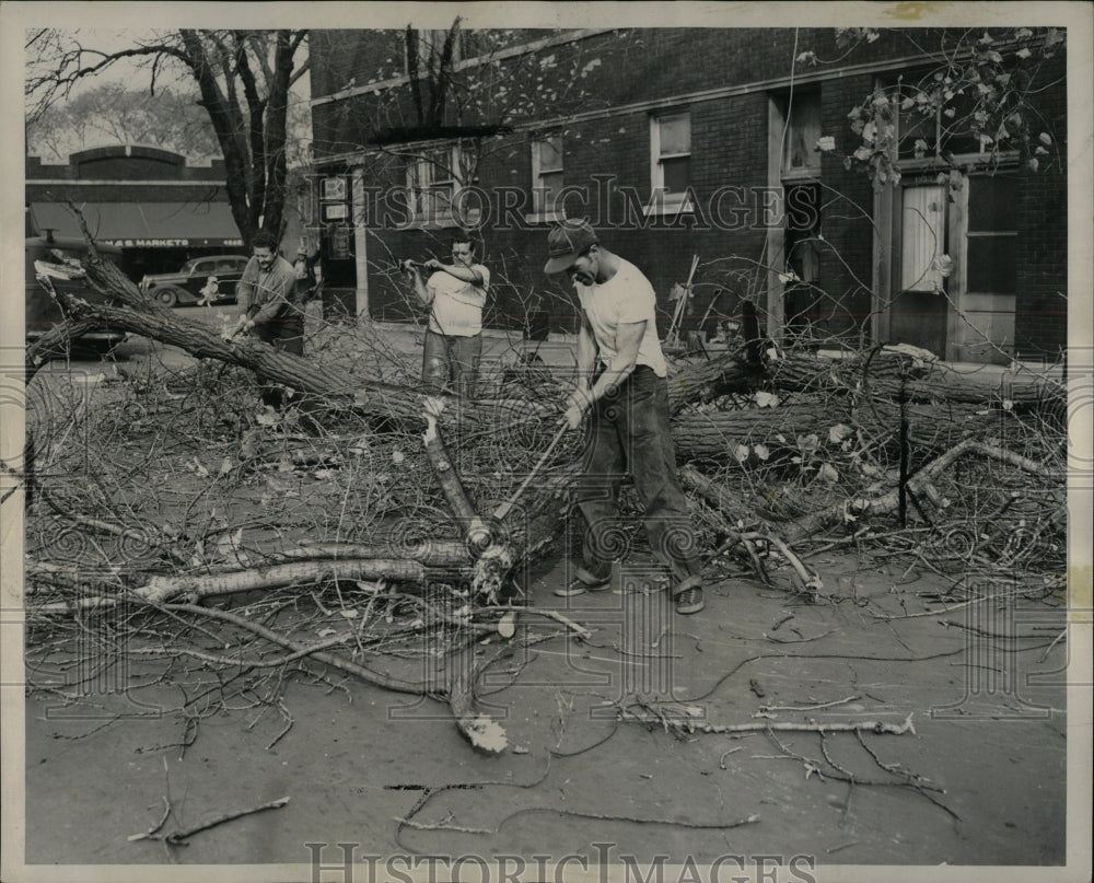 1949 Press Photo Dead Trees. - RRW93929 - Historic Images