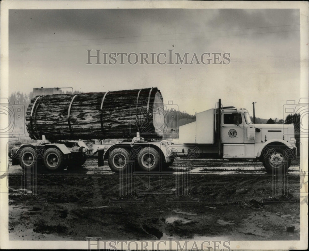 1960 Press Photo Georgia Pacific Redwood Log Plus Park - RRW93943 - Historic Images