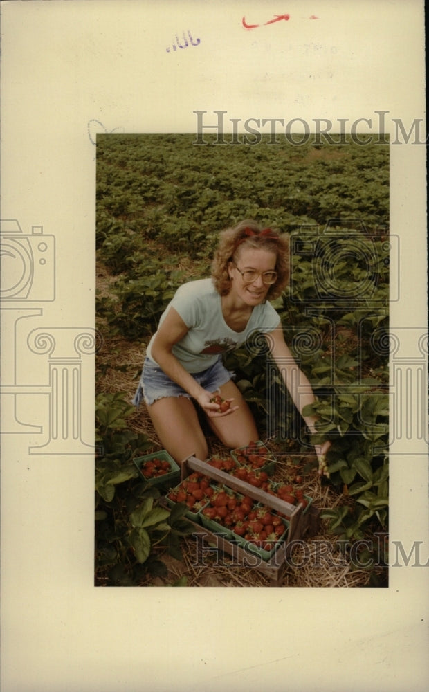 1982 Press Photo Strawberries in Michigan Carol Makiels - RRW96387 - Historic Images