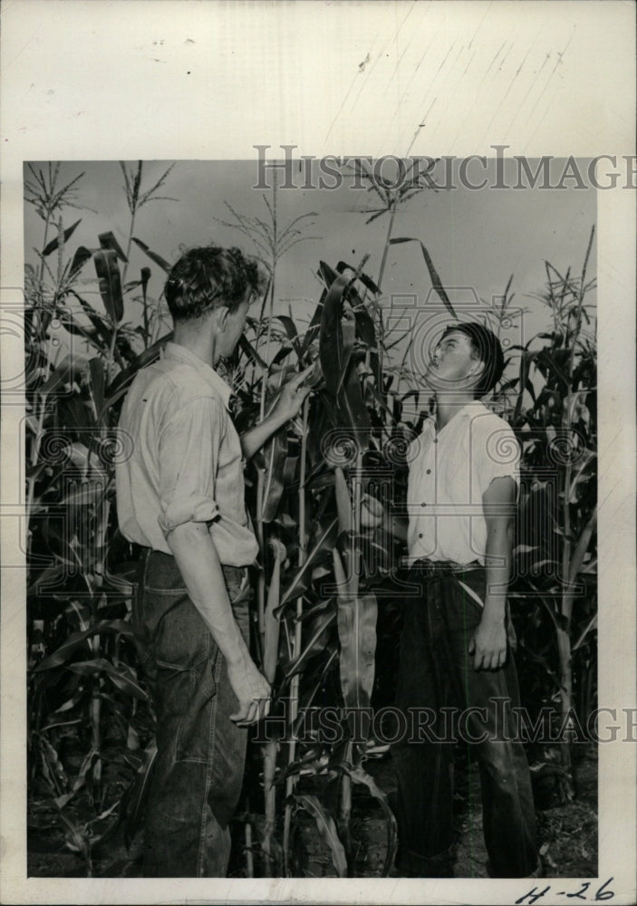 1943 Press Photo Corn Agriculture Iowa - RRW97319 - Historic Images