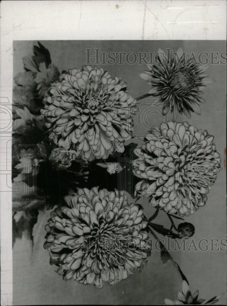 1958 Press Photo Burning Bronze Flowers - RRW99953 - Historic Images