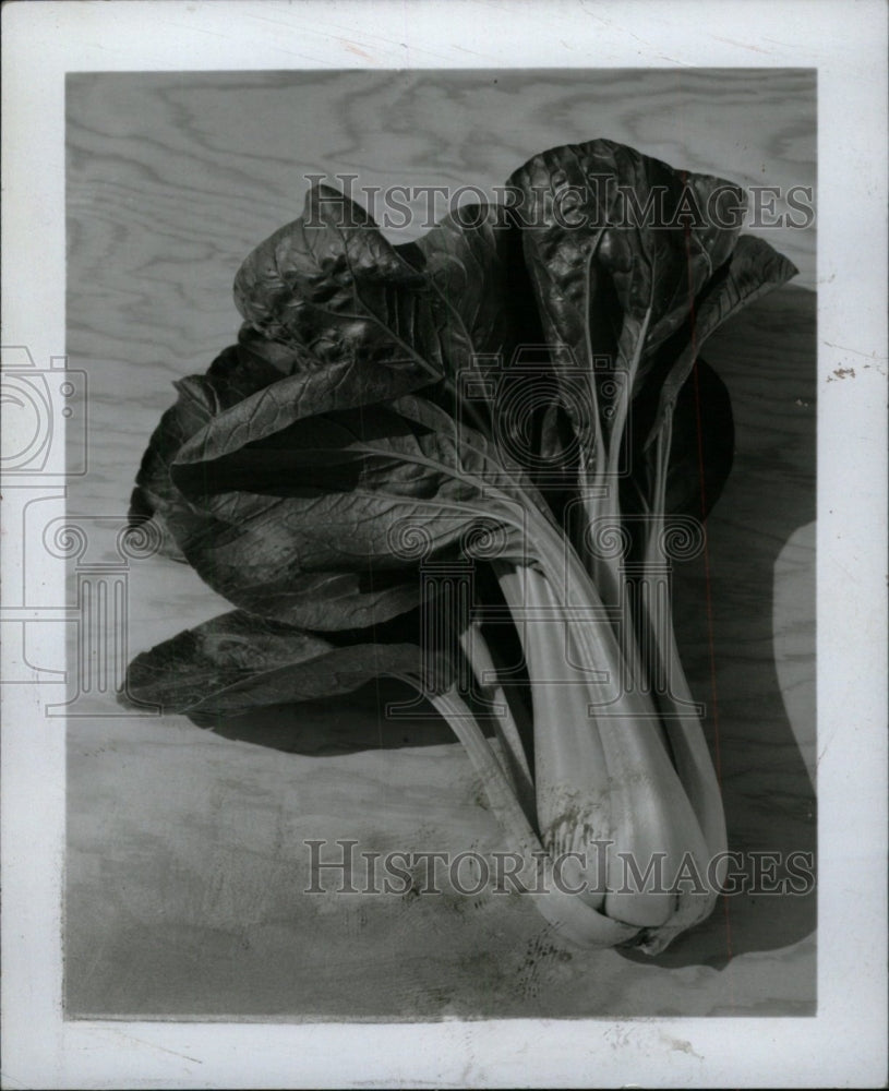 1967 Press Photo Chinese Cabbage - RRW99963 - Historic Images