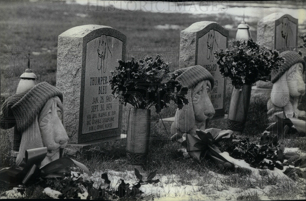 1985 Pet cemetery Lebanon headstones pines - Historic Images