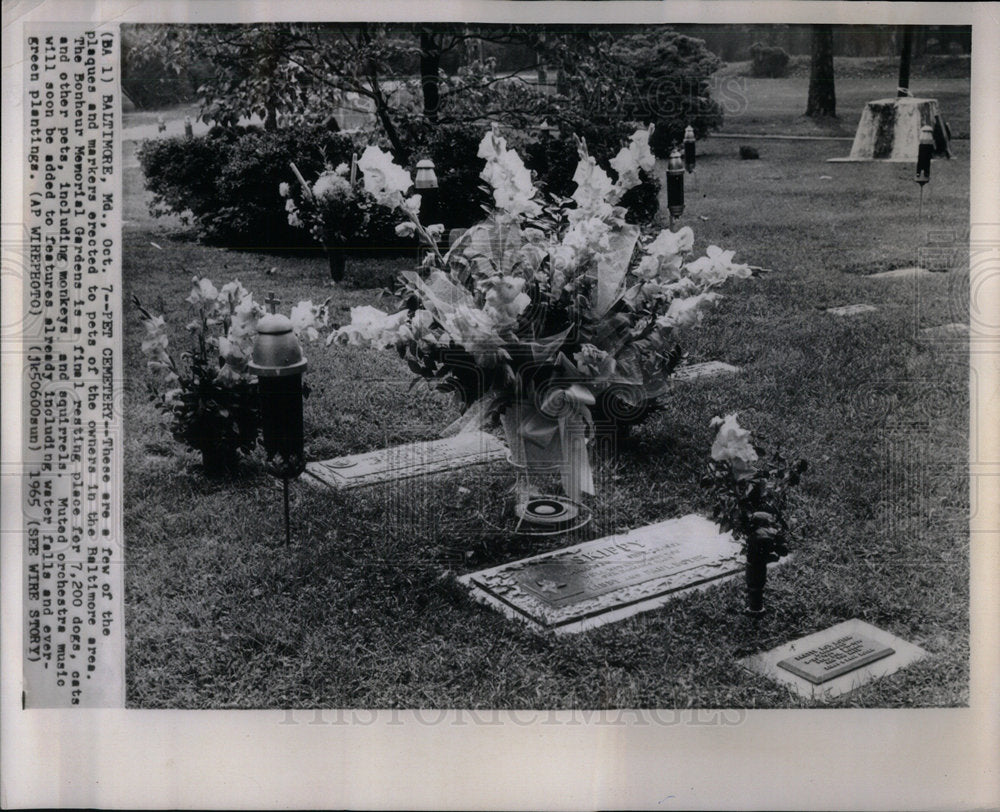 1965 Bonheur Memorial Baltimore area Pet - Historic Images