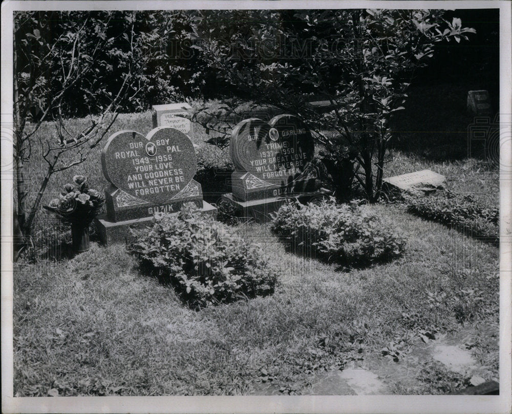 1957 Flower brighten grave dead pets - Historic Images