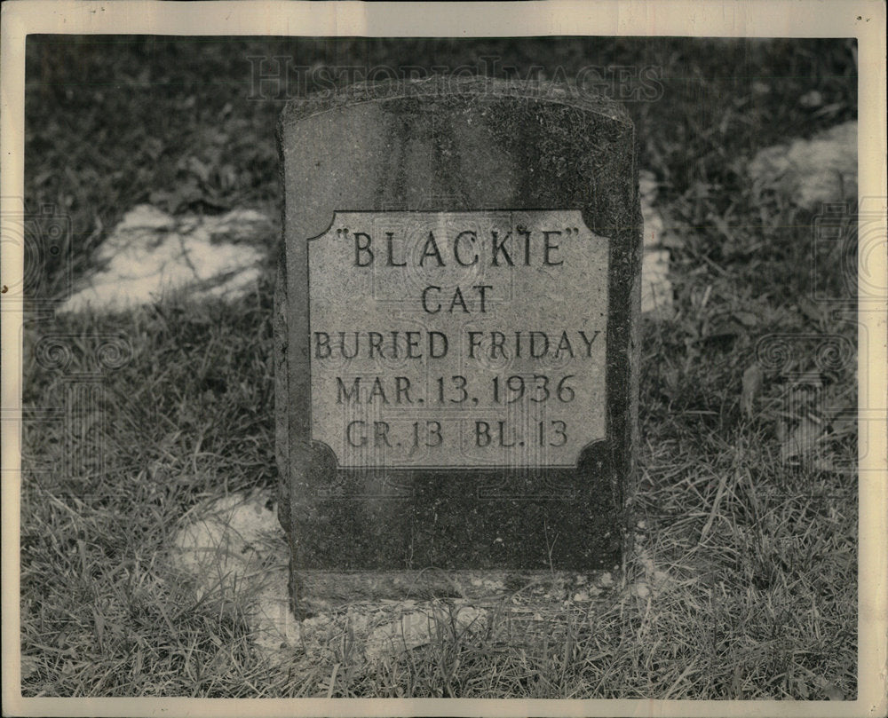 1936 Lies Blackie Cats Cemeteries  - Historic Images