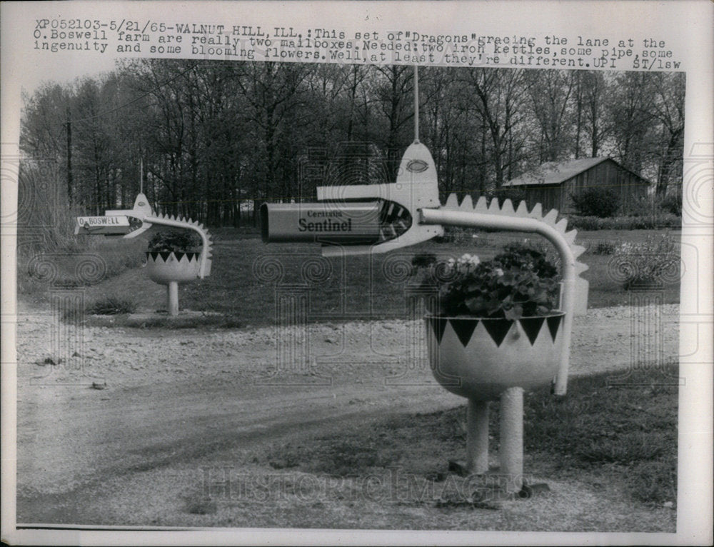 1965 Dragons Boswell farm mailboxes Grace - Historic Images