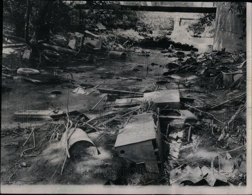 1970 Trashes clogging the creek&#39;s bank.-Historic Images