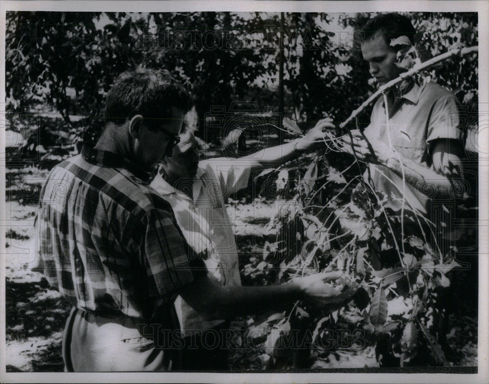 1964 Raising Hopes path peace corp poverty - Historic Images