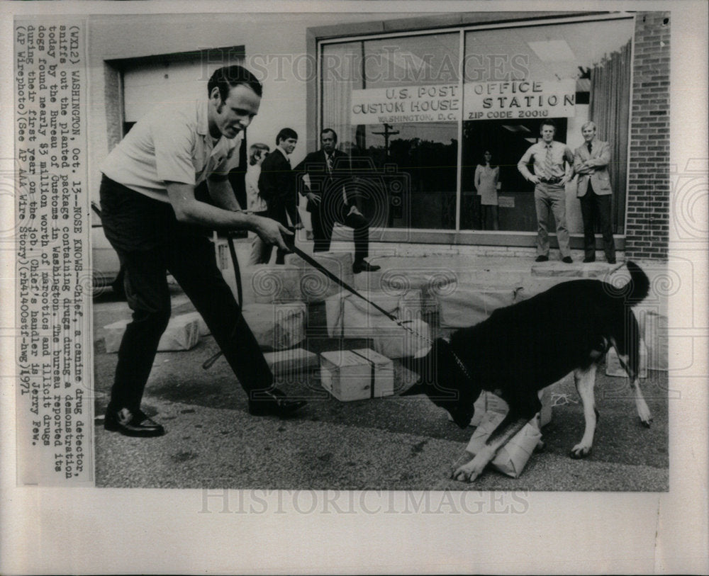 1971 Sniffs drug detector Customs Bureau - Historic Images