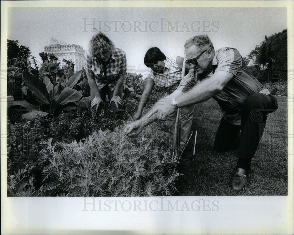 1982 Freda Franco Eden Lincoln Park Chicago - Historic Images