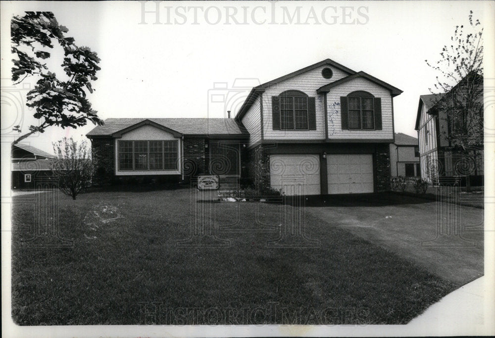 1978 Mike schinasi On site Professional - Historic Images