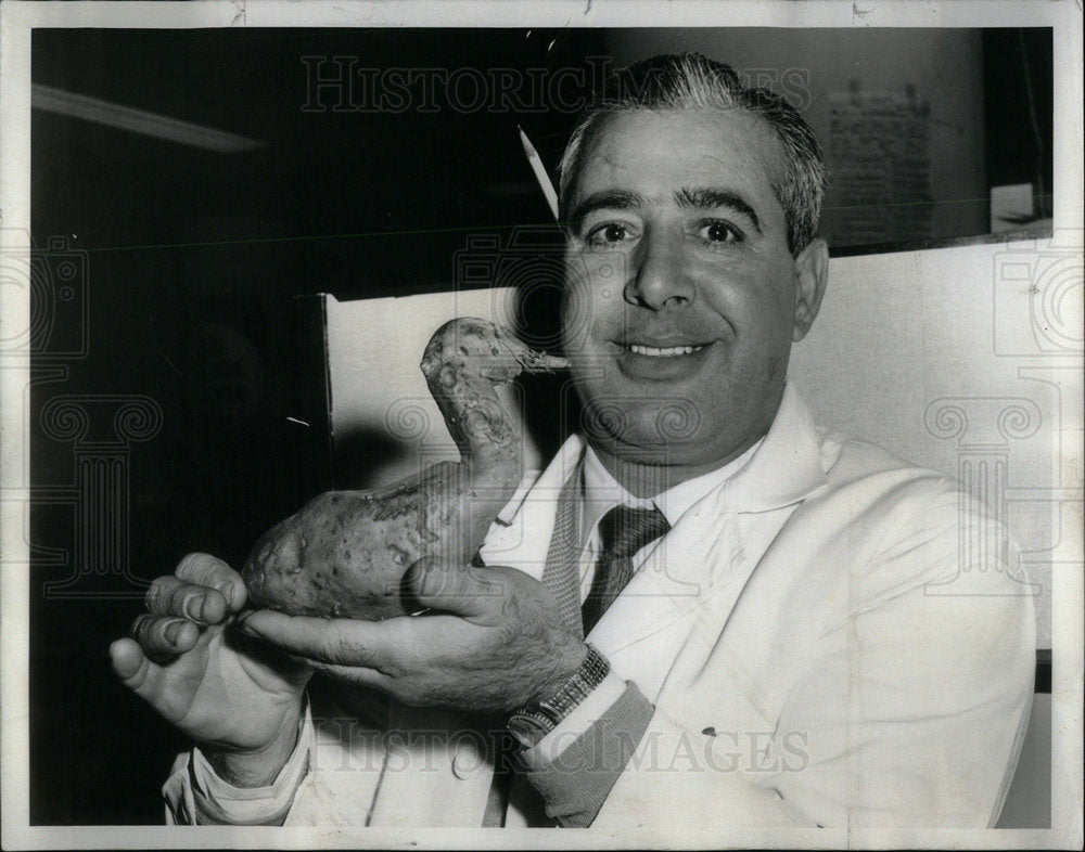 1960 Andrew Abata Sweet Potato Farmer Mich - Historic Images