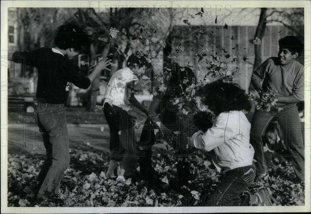 1981 Autumn Type Art  Of The Humboldt Park-Historic Images