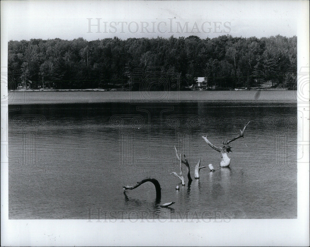 1983 Rain Acid Lakes in Michigan - Historic Images