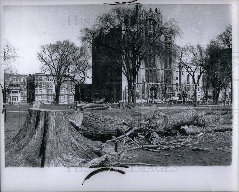 1966 Cass Park Second Temple Ravages - Historic Images