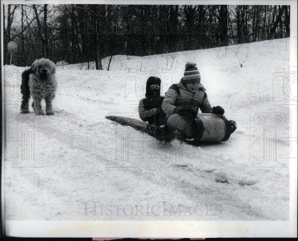 1981 Sledding Wintry Area Activity Chicago - Historic Images