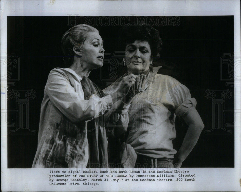 1978 Plays,&quot;The Night Of The Iguana&quot; - Historic Images