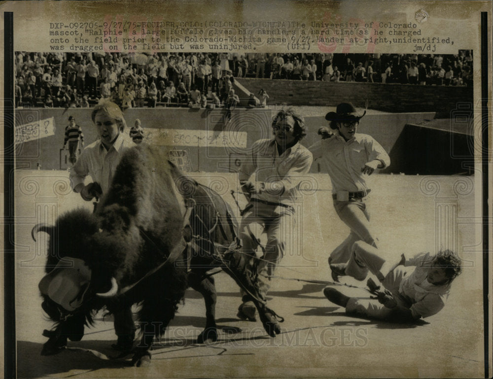 1975 &quot;Ralphi&quot; the Mascot Charges on Field - Historic Images