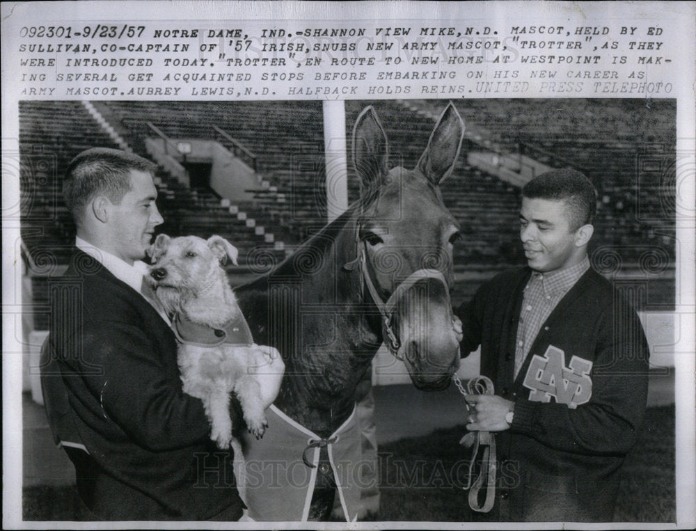 1957 Army Mascot Trotter - Historic Images