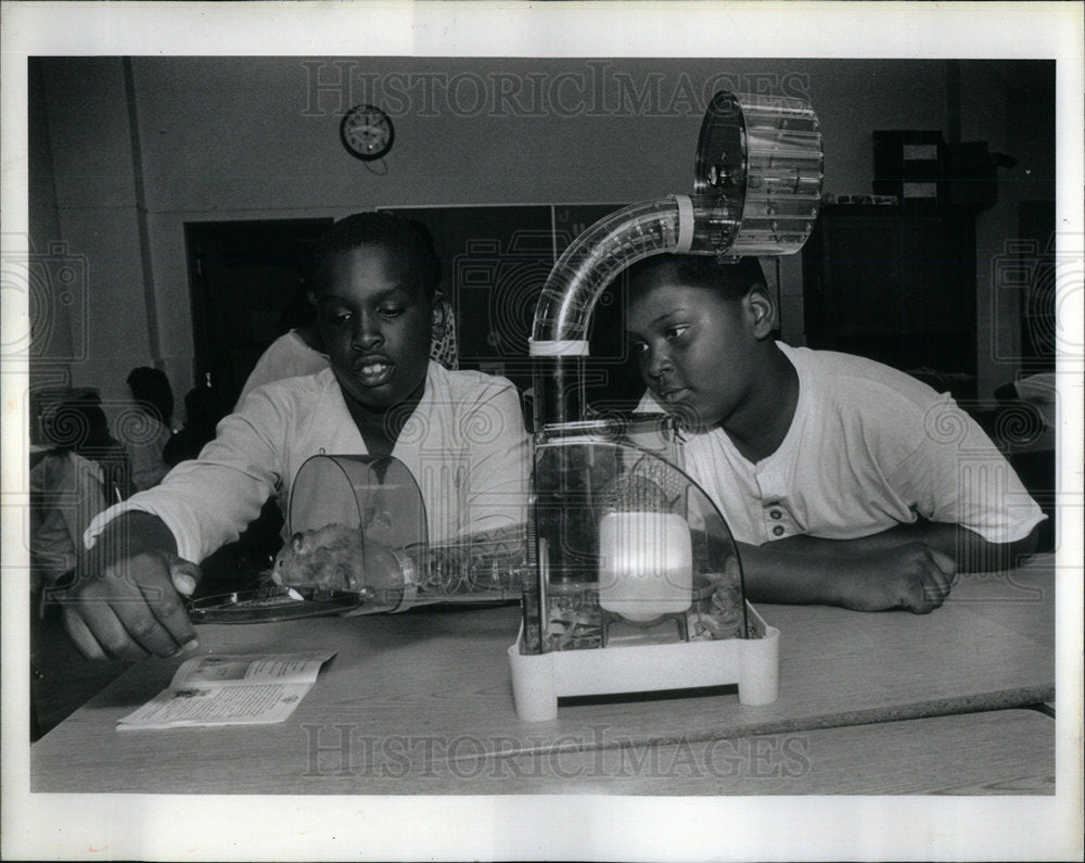 1991 Rashad Skyles Lawndale Kenneth Stokes - Historic Images