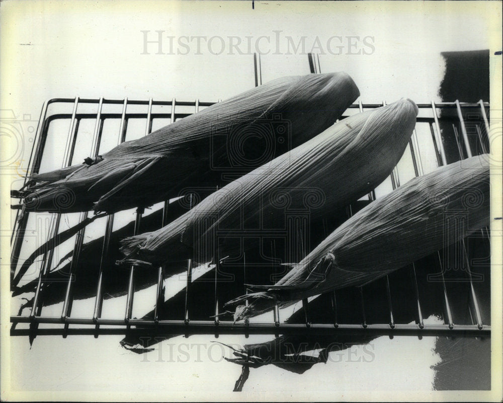 1984 Sweet corn make meal dessert melon - Historic Images